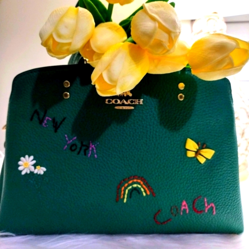 Coach mini Lillie carryall with Diary Embroidery Bag